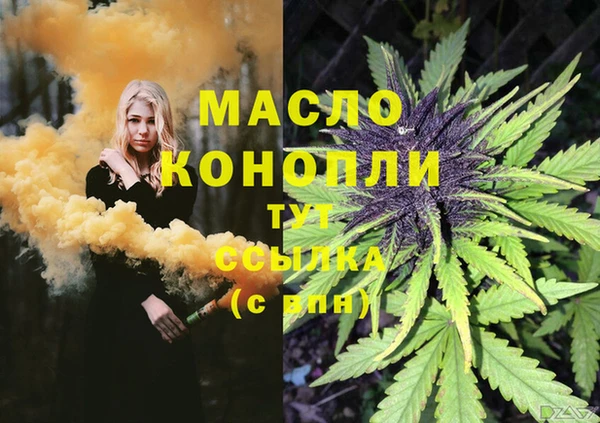 тгк Алзамай
