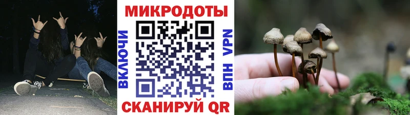 где купить наркотик  Ликино-Дулёво  Галлюциногенные грибы Cubensis 